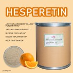 High Purity 1kg Barrel Packed Food Grade Hesperidin Powder Custom Manufacture Fruit Extract Herbal Plant Extract Wholesale