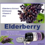 Vegan 500mg Elderberry Extract Capsules with Vitamin C and Zinc for Immune Support
