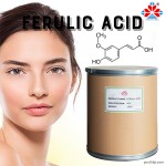 99% Pure Vanillic Acid Powder Food Grade Herbal Extract Natural Skincare Antioxidant Plastic Container Jar Can Bottle