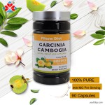 Adult Garcinia Cambogia Extract Capsules Effective Beauty Supplement Herbal Supplement Not for Pregnancy Not Suitable for Teen Children