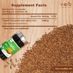 High Saponins Fenugreek Extract Capsules 500mg - Adult Dietary Supplement Antioxidant Sleep Improvement Metabolism Improvement ODM