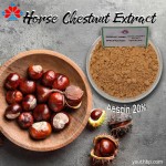 1kg Pure Horse Chestnut Extract Food Grade Powder UV Protection Plastic Jar Bottle Container Herbal Cosmetics Vacuum Drum Pack