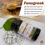 Adult Bulk Supply Fenugreek Extract Capsules 40% Saponins Powder Herbal Supplement Not Suitable for Teens or Pregnant Women