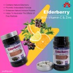 Youth Adult Vegan Elderberry Vitamin C Zinc Echinacea Herbal Supplement Capsules - Immune Support Antioxidant Properties 90 Capsules