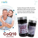 Youth 60 Capsules Coenzyme Q10 (30mg) Heart Support Formula Niacin Red Yeast Rice Extract Antioxidant Immune Support Dietary