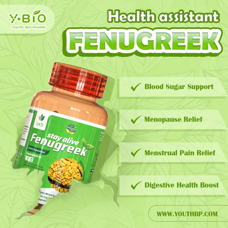 High Saponins Fenugreek Extract Capsules 500mg - Adult Dietary Supplement Antioxidant Sleep Improvement Metabolism Improvement ODM