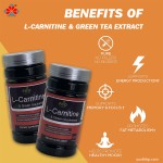 Youth L-Carnitine Green Tea Extract Zinc Chromium Picolinate Capsules for Weight Loss