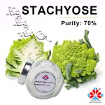 HPLC Tested Food Grade Natural Polydextrose Powder Prebiotic Fiber Supplement Gut Health Green Tea Extract Rice Grain Jar 1kg