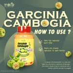 High Potency 1000mg HCA 60% Garcinia Cambogia Capsules with Vitamin C and Chromium