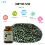 OEM/ODM Youth High Protein 65% Content Refined Spirulina Tablets 600 Tablets/Bottle Improves Memory Sleep Iron Magnesium