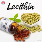 Youth Non-GMO Soy Lecithin Softgel Capsules Plant-Based Emulsifier Liver Detoxification 3 Capsules per Serving 120 Capsules
