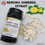 Garcinia Cambogia Weight Loss Capsules Suitable for Adult Men Women Fast Fat Burning Carbohydrate Absorption Blocker Beauty Product Safe Use