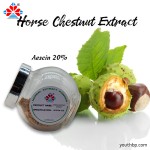 1kg Pure Horse Chestnut Extract Food Grade Powder UV Protection Plastic Jar Bottle Container Herbal Cosmetics Vacuum Drum Pack