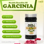 Garcinia Cambogia Extract 1000mg Capsules 60% HCA 90mg Vitamin C 100mcg Chromium Picolinate Direct from Manufacturer Youth