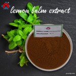 Organic 10:1 Lemon Balm Extract Powder Food Grade Herbal Supplement Vegan Functional Food Beverage Bottle Youth Brand 1kg MOQ