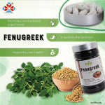 Organic 500mg Fenugreek Extract Capsules 50% Saponins Natural Herbal Supplement Promotes Female Breast Milk Antioxidant