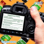 Factory Price Fenugreek Extract Capsules - Natural Herbal Supplement Breast Milk Production HALA Certified Food Grade Adult