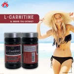 Youth L-Carnitine Green Tea Extract Zinc Chromium Picolinate Capsules for Weight Loss