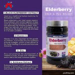 Youth Adult Vegan Elderberry Vitamin C Zinc Echinacea Herbal Supplement Capsules - Immune Support Antioxidant Properties 90 Capsules