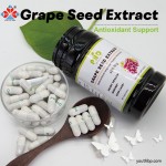 GMP Certified Premium Antioxidant Grape Seed Extract Capsules 95% Proanthocyanidins Skin Heart Health Support Adult Beauty