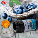 Aladdin Bilberry Lutein Herbal Eye Brain Health Supplement 90 Count Softgel Capsules Support Adult Youth