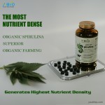 OEM/ODM Youth High Protein 65% Content Refined Spirulina Tablets 600 Tablets/Bottle Improves Memory Sleep Iron Magnesium