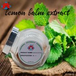 Organic 10:1 Lemon Balm Extract Powder Food Grade Herbal Supplement Vegan Functional Food Beverage Bottle Youth Brand 1kg MOQ