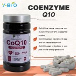 Youth 60 Capsules Coenzyme Q10 (30mg) Heart Support Formula Niacin Red Yeast Rice Extract Antioxidant Immune Support Dietary