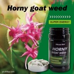 Youth 60% Icariin Capsules Natural Male Enhancer Improves Sexual Function 90 Capsules/Bottle Adult OEM Service