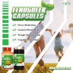 Fenugreek Extract Dietary Supplement Capsules OEM/ODM Service - GMP Certified Adult Health Factory 90 Capsules/Bottle