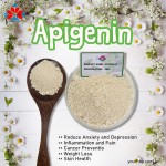 98% Purity Food Grade Isoquercetin Powder HPLC Test Method Plastic Container Barrel Storage Herbal Fruit Supplement Celery Seed Extract