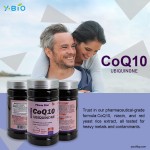 Premium Heart Support Antioxidant Supplement Enhanced Coenzyme Q10 Capsules Vitamin B3 Red Yeast Rice Extract 60 Capsules/Bottle