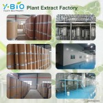 HPLC Verified Food Grade Acerola Cherry Extract Powder 17% Vitamin C Natural Antioxidant Solvent Extract Dietary Supplement