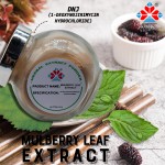 High Grade Food Grade Mulberry Leaf Extract Herbal Powder 1% DNJ Shandong Origin Vacuum Packed Health Hygiene 1kg MOQ