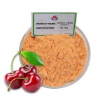 HPLC Verified Food Grade Acerola Cherry Extract Powder 17% Vitamin C Natural Antioxidant Solvent Extract Dietary Supplement
