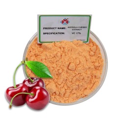 HPLC Verified Food Grade Acerola Cherry Extract Powder 17% Vitamin C Natural Antioxidant Solvent Extract Dietary Supplement