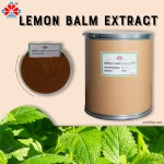 Organic 10:1 Lemon Balm Extract Powder Food Grade Herbal Supplement Vegan Functional Food Beverage Bottle Youth Brand 1kg MOQ