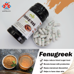 Organic 500mg Fenugreek Extract Capsules 50% Saponins Natural Herbal Supplement Promotes Female Breast Milk Antioxidant