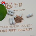 Vegan Mulberry Leaf Extract Capsules 500mg with Capsaicin