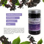 Vegan 500mg Elderberry Extract Capsules with Vitamin C and Zinc for Immune Support