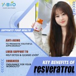 Youth Private Label Multi-Ingredient Herbal Supplement OEM/ODM Resveratrol NAD+ Complex Grape Seed Extract Antioxidant Capsules