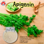 98% Purity Food Grade Isoquercetin Powder HPLC Test Method Plastic Container Barrel Storage Herbal Fruit Supplement Celery Seed Extract