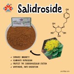 Food Grade 3% Salidroside Rhodiola Rosea Extract Herbal Powder Cosmetics Dietary Supplement Vacuum Packed Barrel Jar 1kg