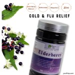Vegan 500mg Elderberry Extract Capsules with Vitamin C and Zinc for Immune Support