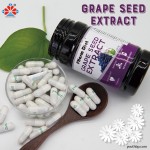 Youth 500mg Grape Seed Extract 90 Capsules/Bottle Antioxidant Skin Brightening Cardiovascular Enhancer Beauty Not for Pregnant Women