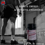 500mg * 90 Caps Green Tea L-Carnitine Capsules Natural Fat Burner Metabolism Booster Energy Supplement Adult Not for Pregnancy