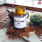 Youth Non-GMO Soy Lecithin Softgel Capsules Plant-Based Emulsifier Liver Detoxification 3 Capsules per Serving 120 Capsules