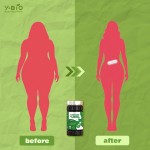 100% Natural Green Tea L-Carnitine Capsules Fat Transport Weight Control Energy Metabolism Support Vegan Halal