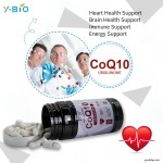Youth 60 Capsules Coenzyme Q10 (30mg) Heart Support Formula Niacin Red Yeast Rice Extract Antioxidant Immune Support Dietary