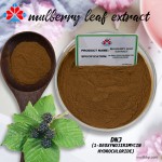 High Grade Food Grade Mulberry Leaf Extract Herbal Powder 1% DNJ Shandong Origin Vacuum Packed Health Hygiene 1kg MOQ